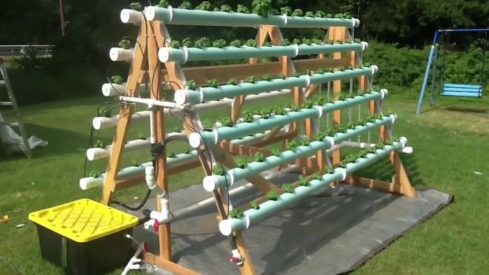 15 mẫu thiết kế trồng cây trong ống nhựa PVC vừa đẹp vừa tiết kiệm không  gian